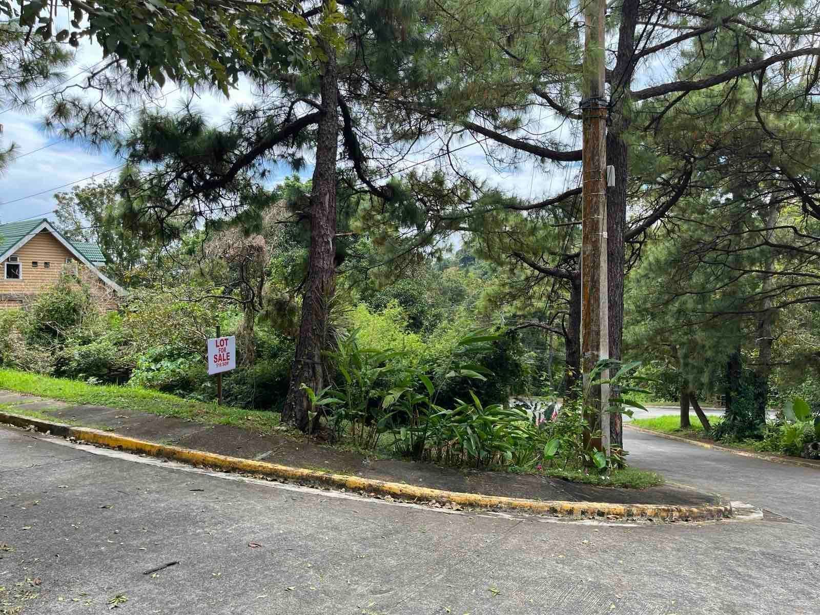 Lot Properties